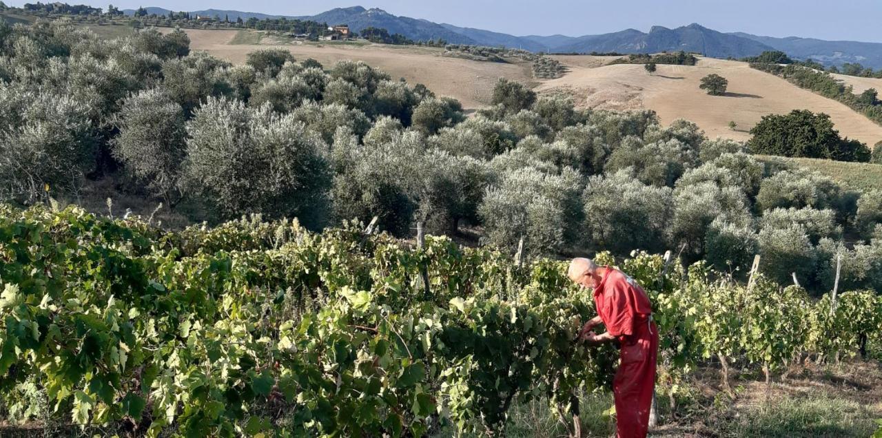 Agriturismo Santa Chiara Pomarance Ngoại thất bức ảnh